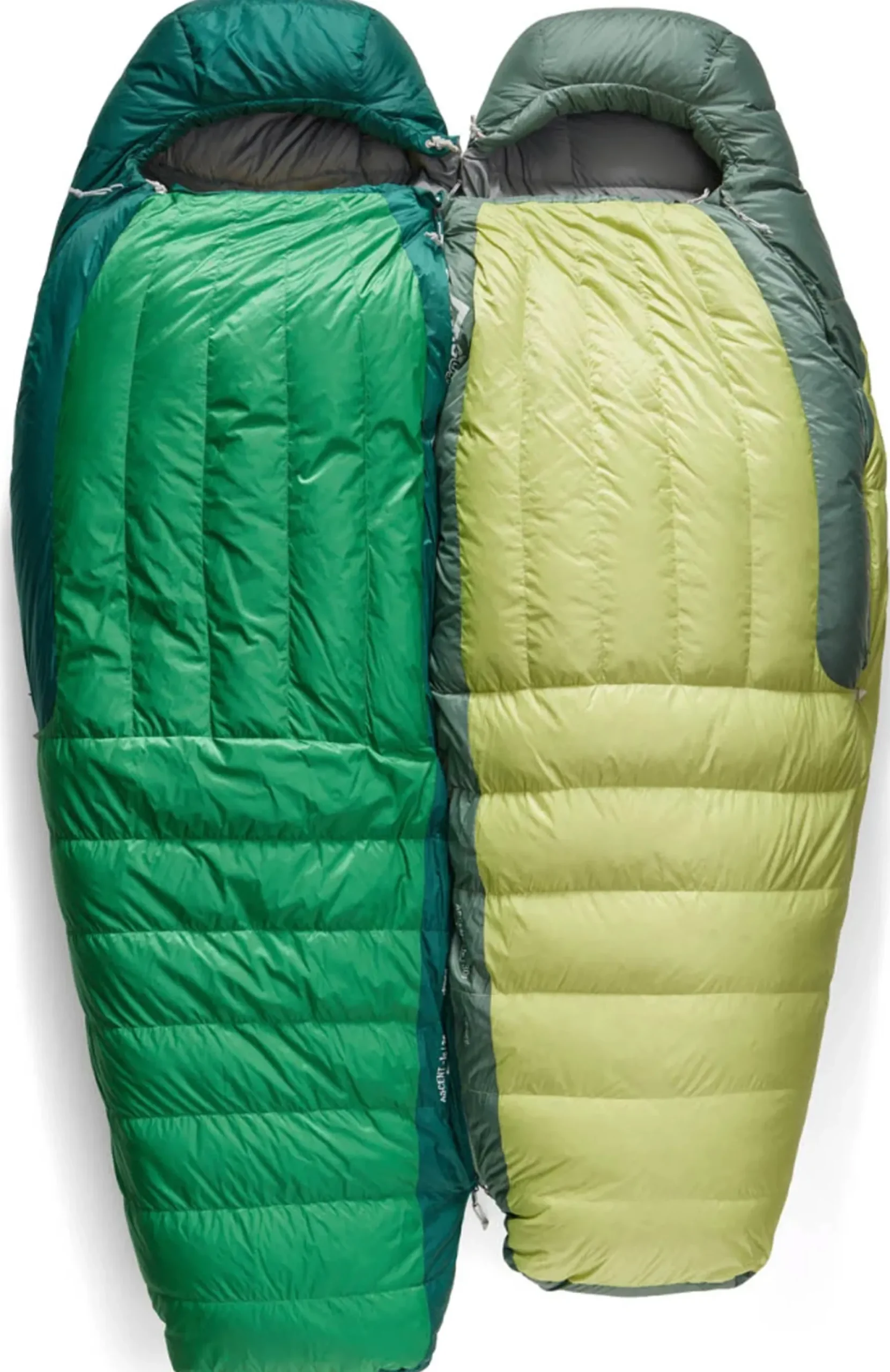 Ascent -9C/15F Regular Dunsovepose