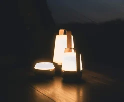 Aurelia L Lampe