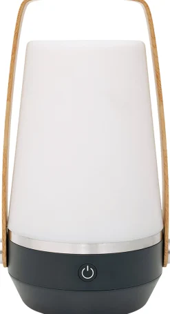 Aurelia L Lampe