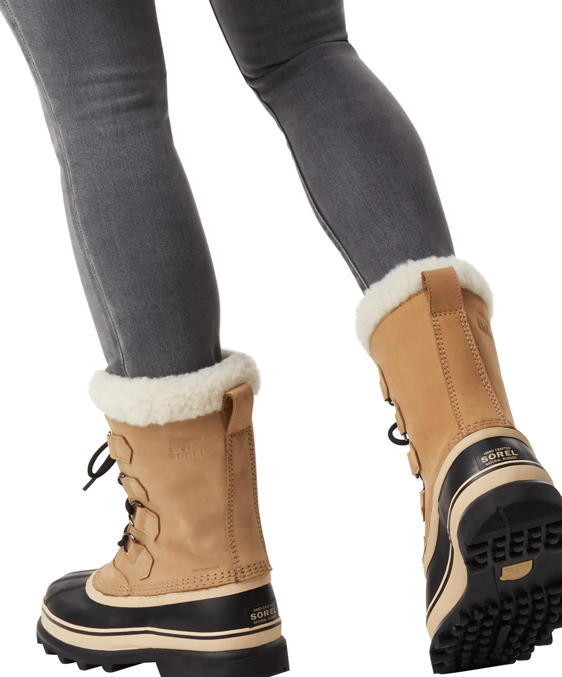 Caribou WP Dame