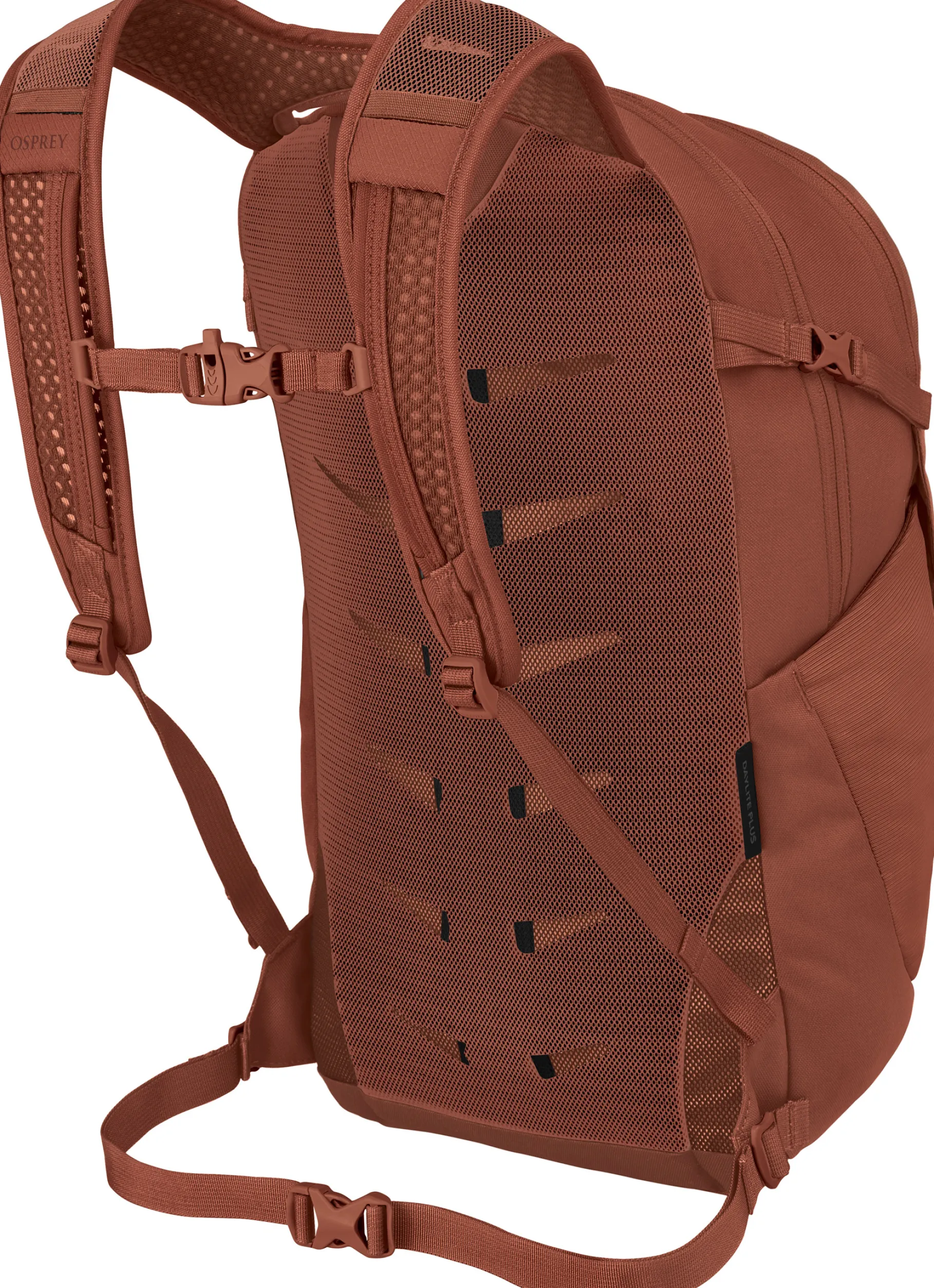 Daylite Plus