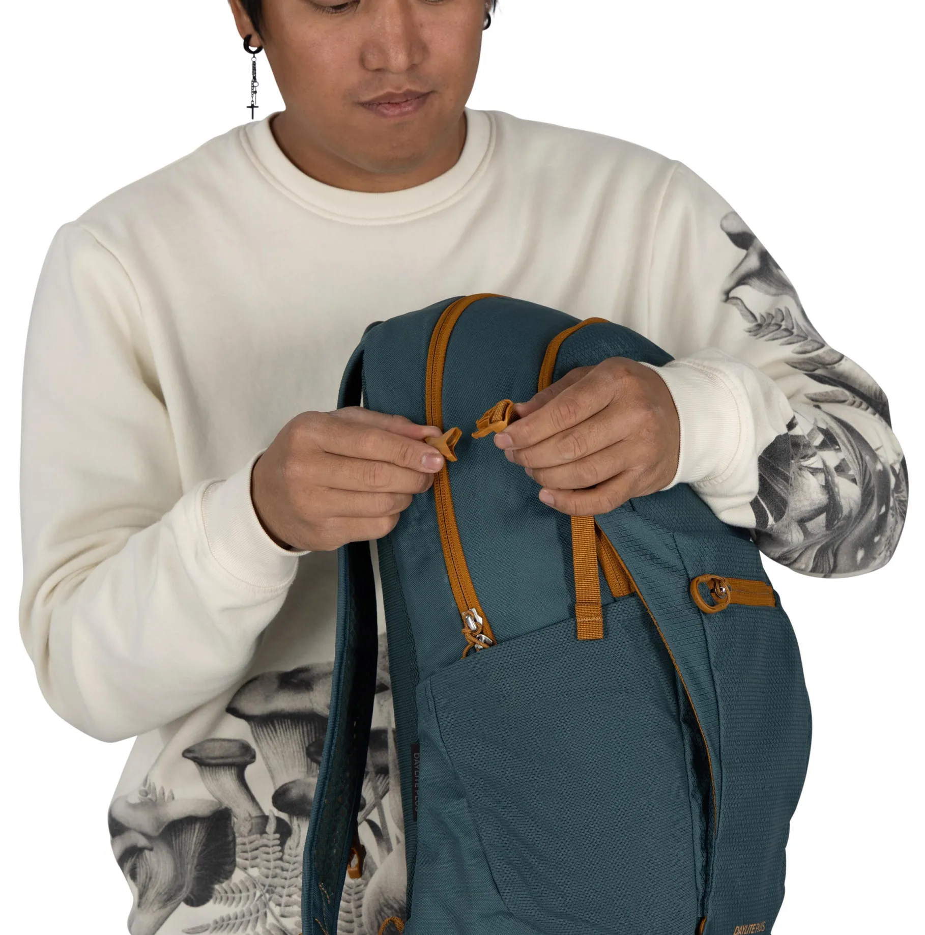 Daylite Plus