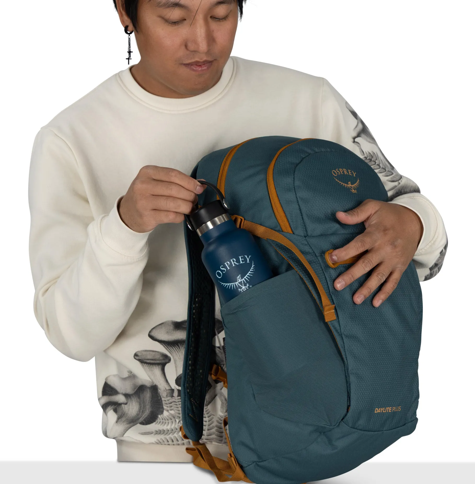 Daylite Plus