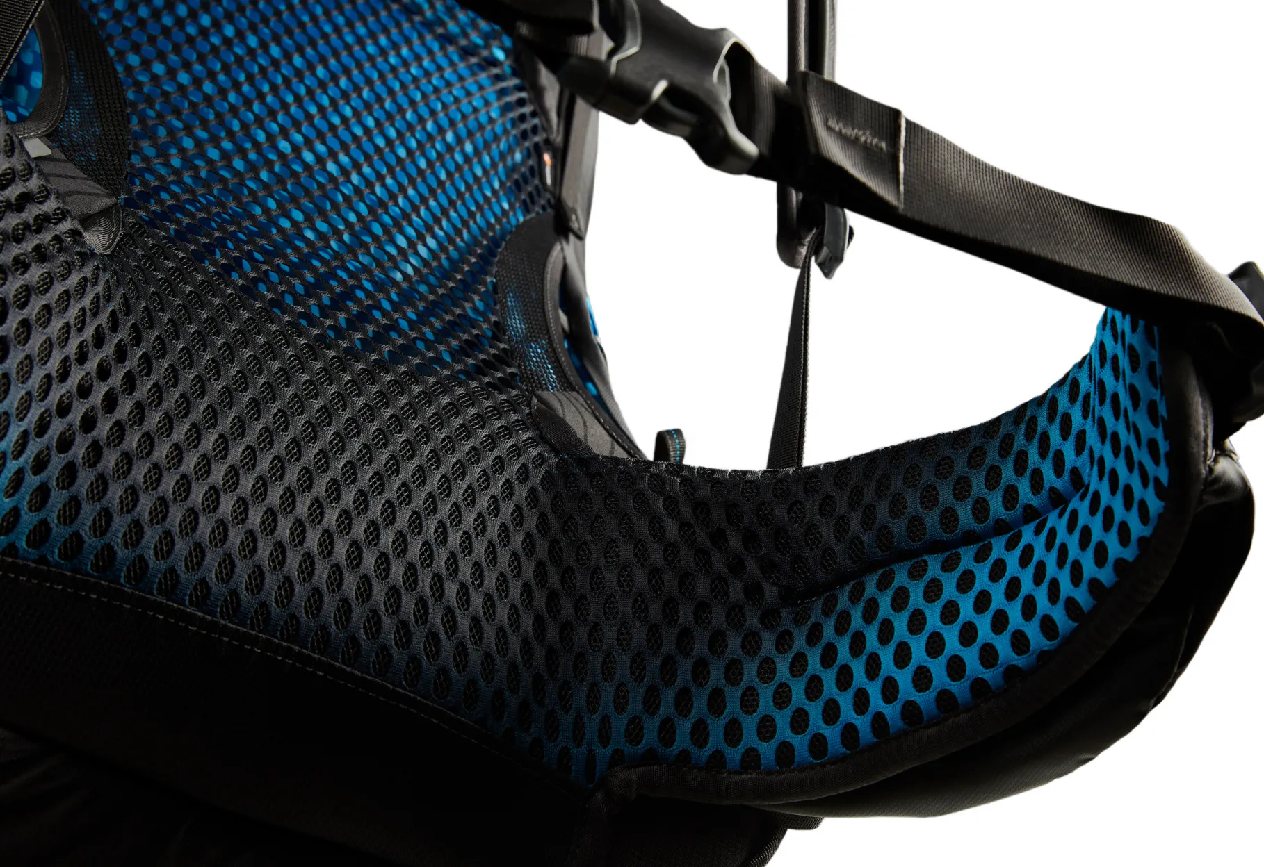 Focal 48 Medium