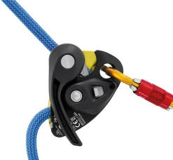 GRIGRI+