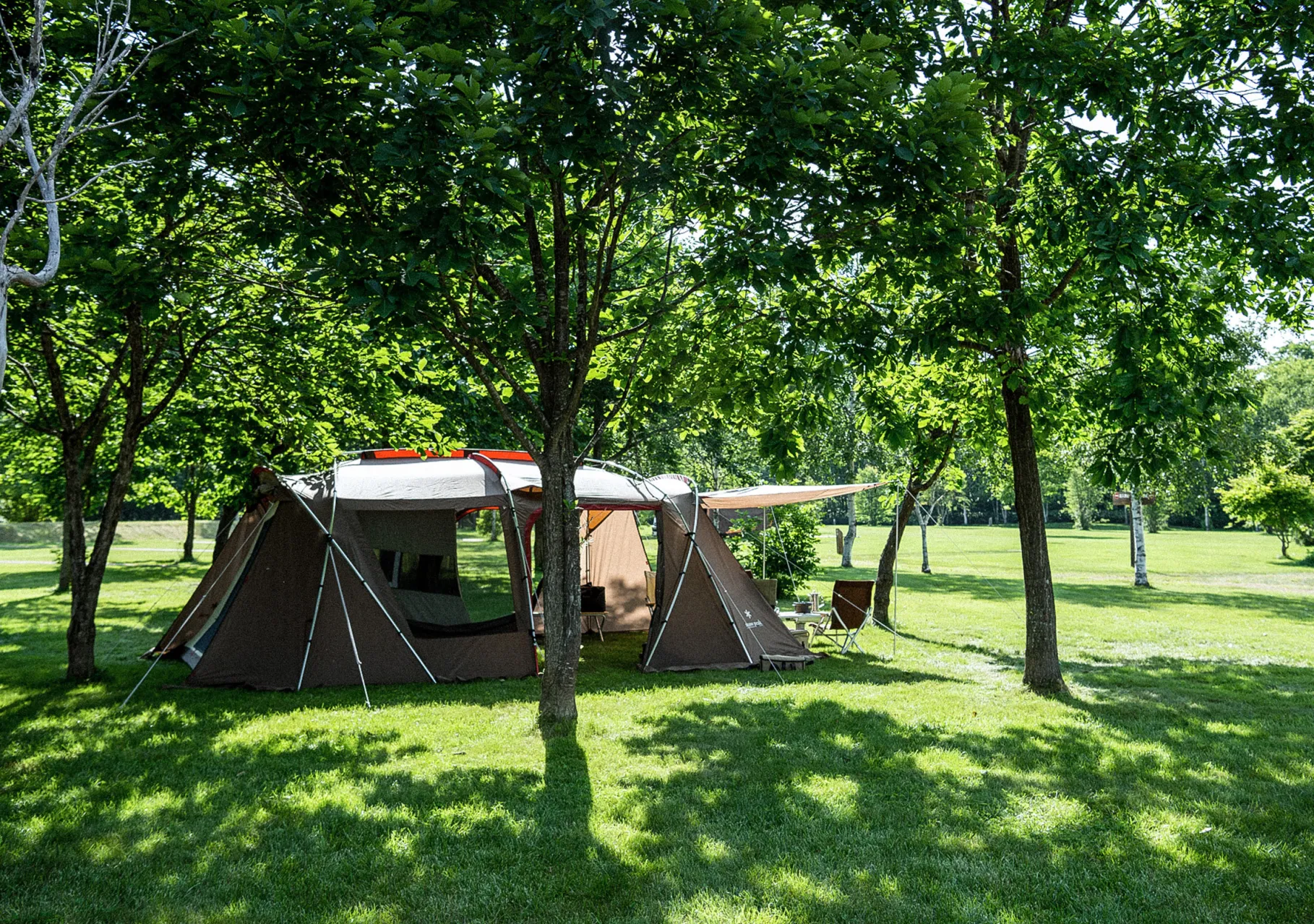 Land Lock, 6-Personers Telt