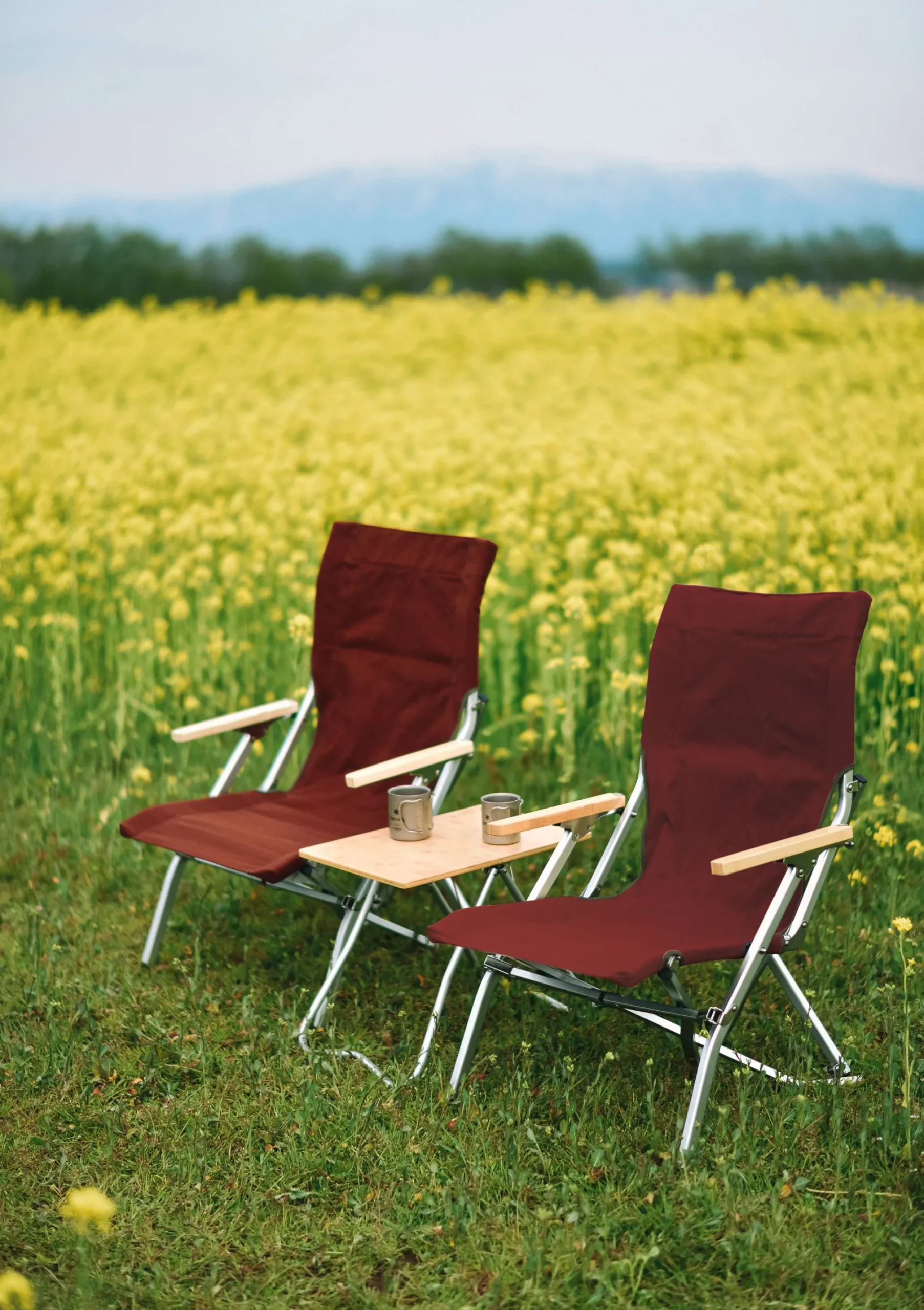 Low Beach Chair Foldestol