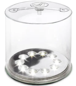 Luci Original Clear