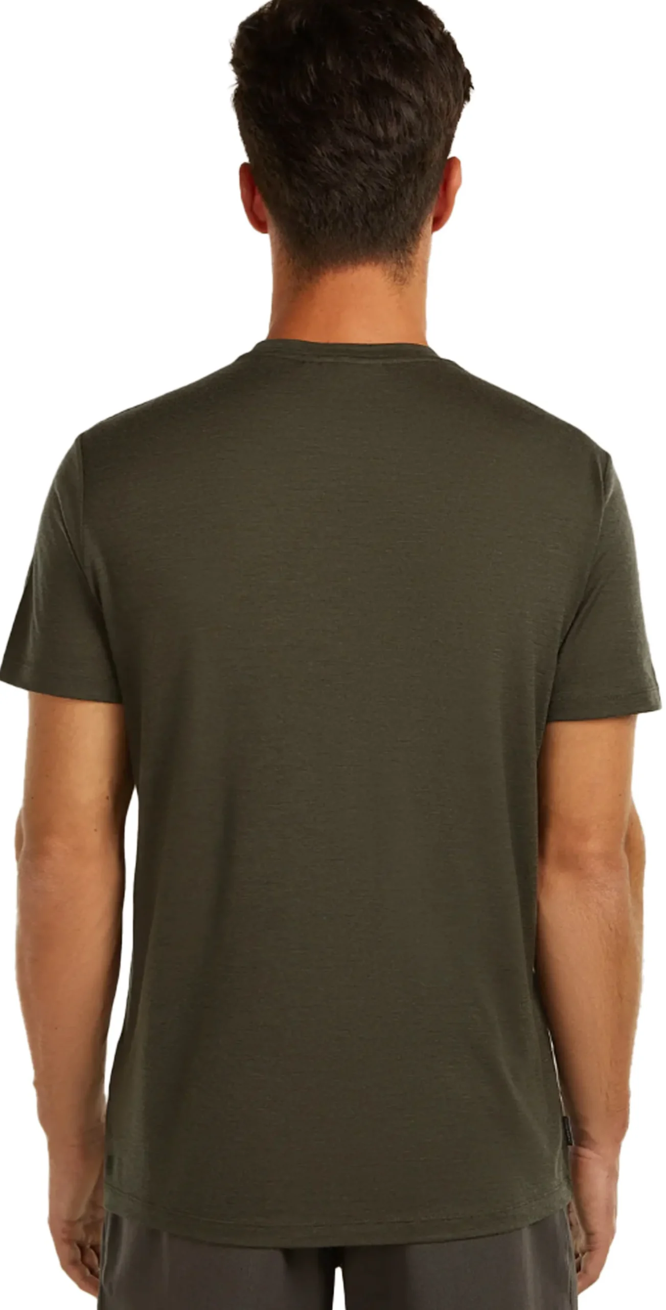 Merino 150 Tech Lite SS Tee Range Stripes Herre