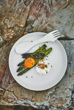 RamenPlate 4-pack
