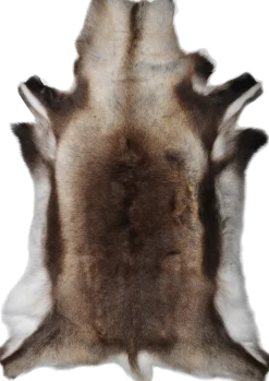 Rensdyrskind Standard