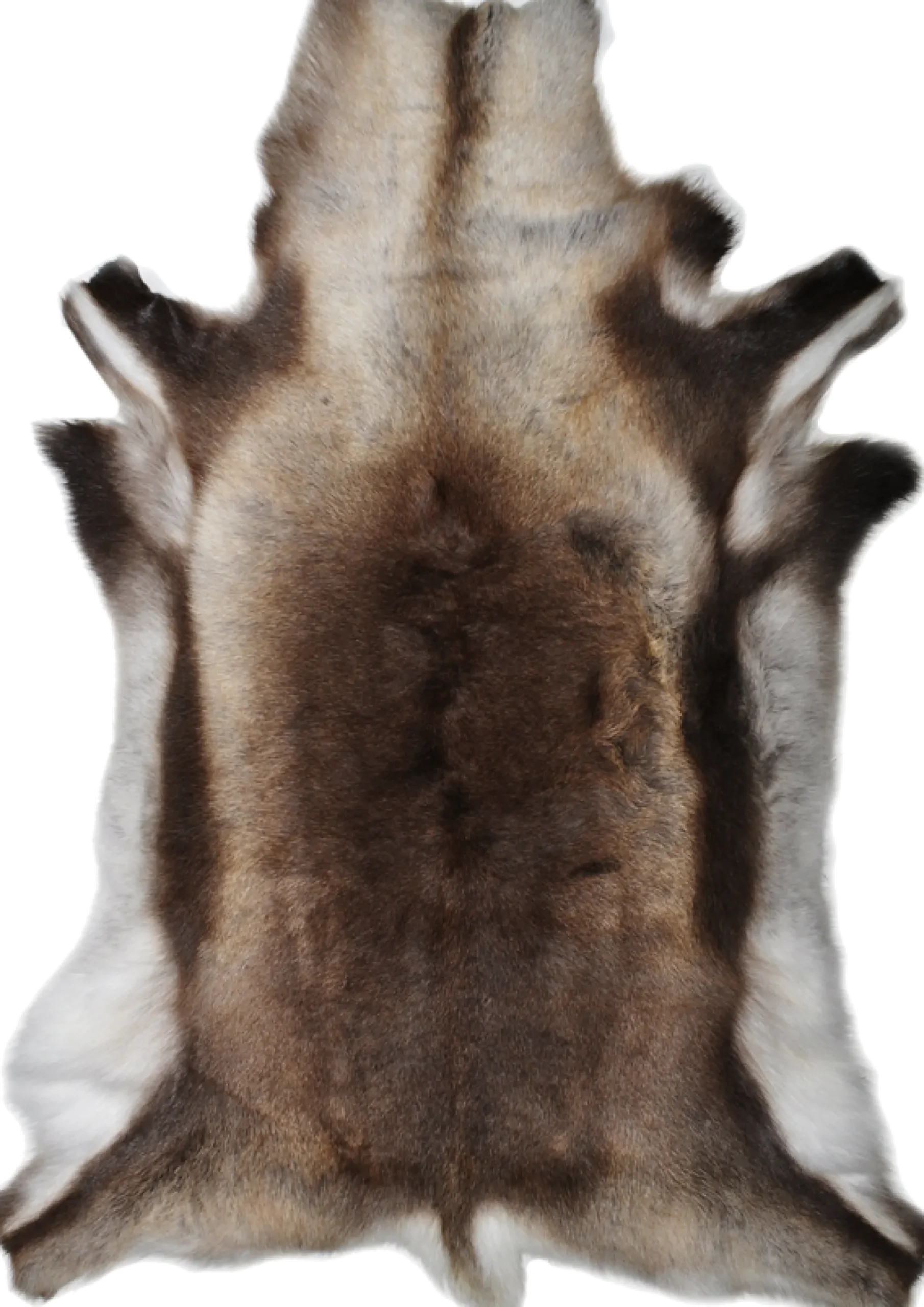 Rensdyrskind Standard