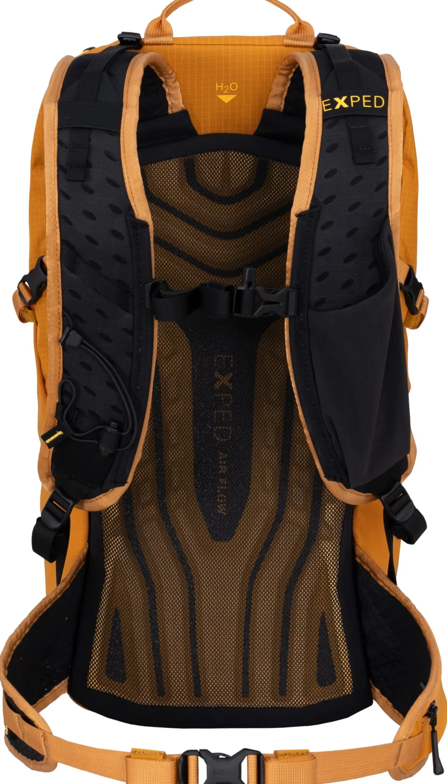 Skyline 20 S/M