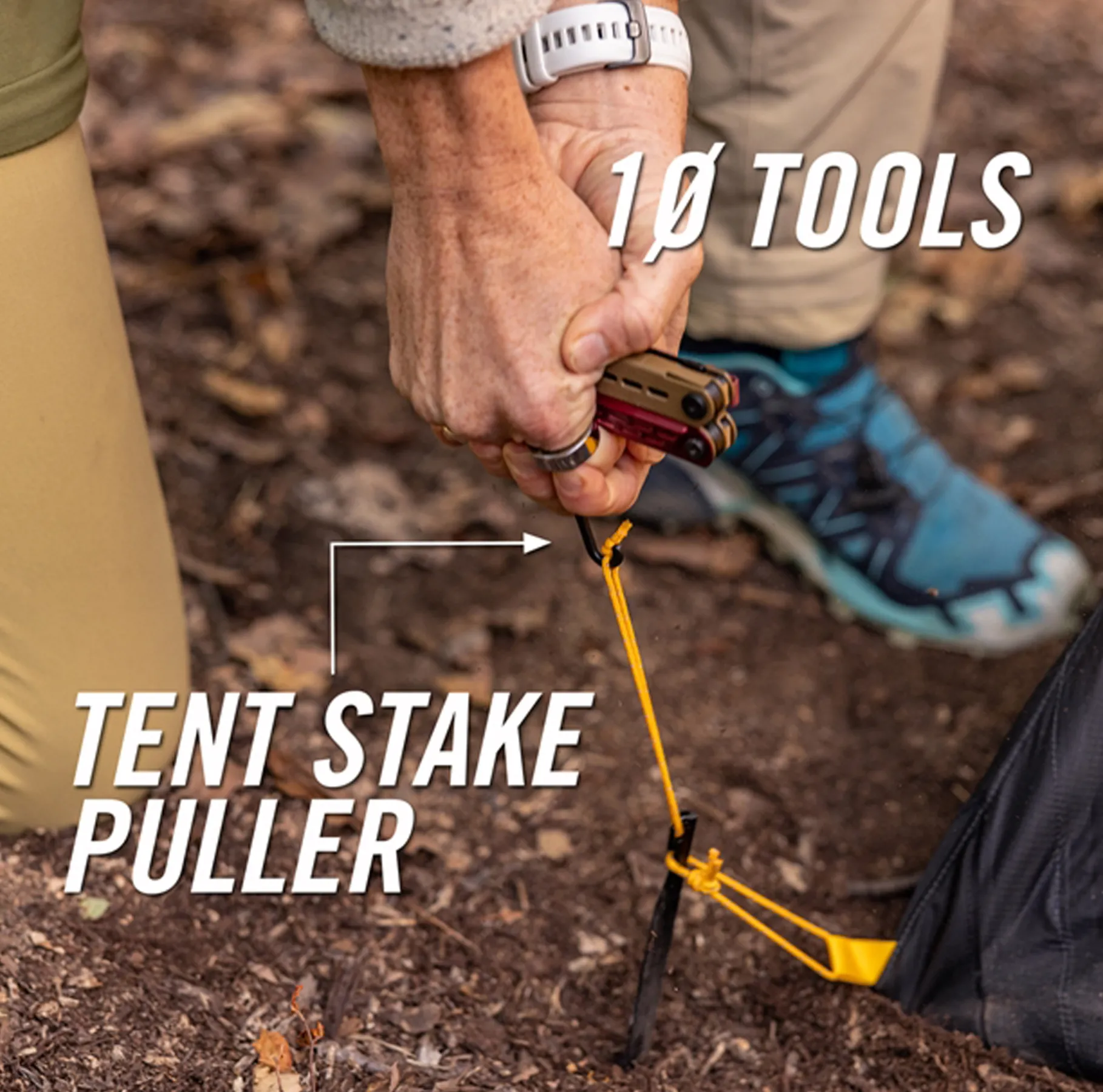 Stake Out Spark