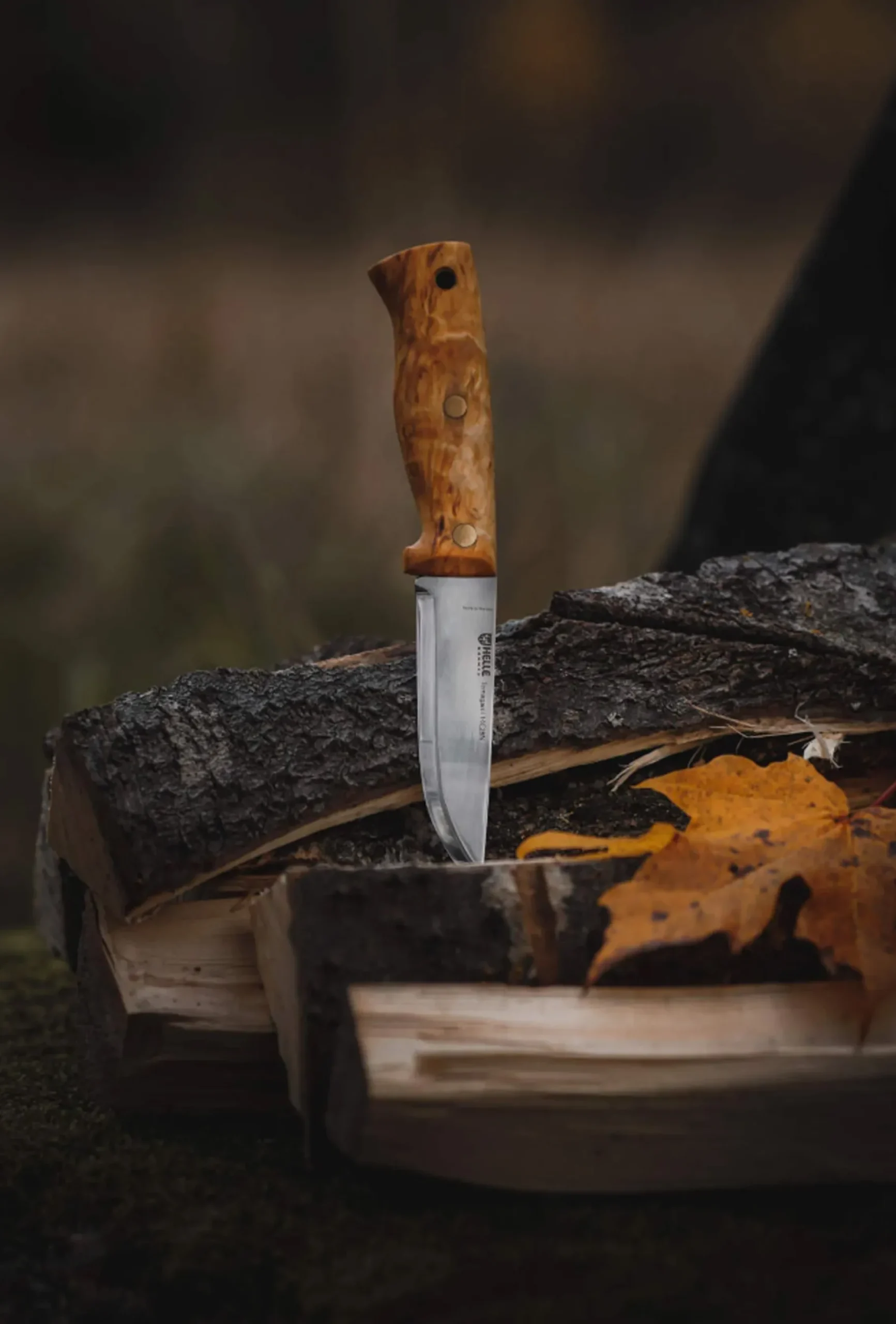 Temagami 14C28N Full Tang Knife