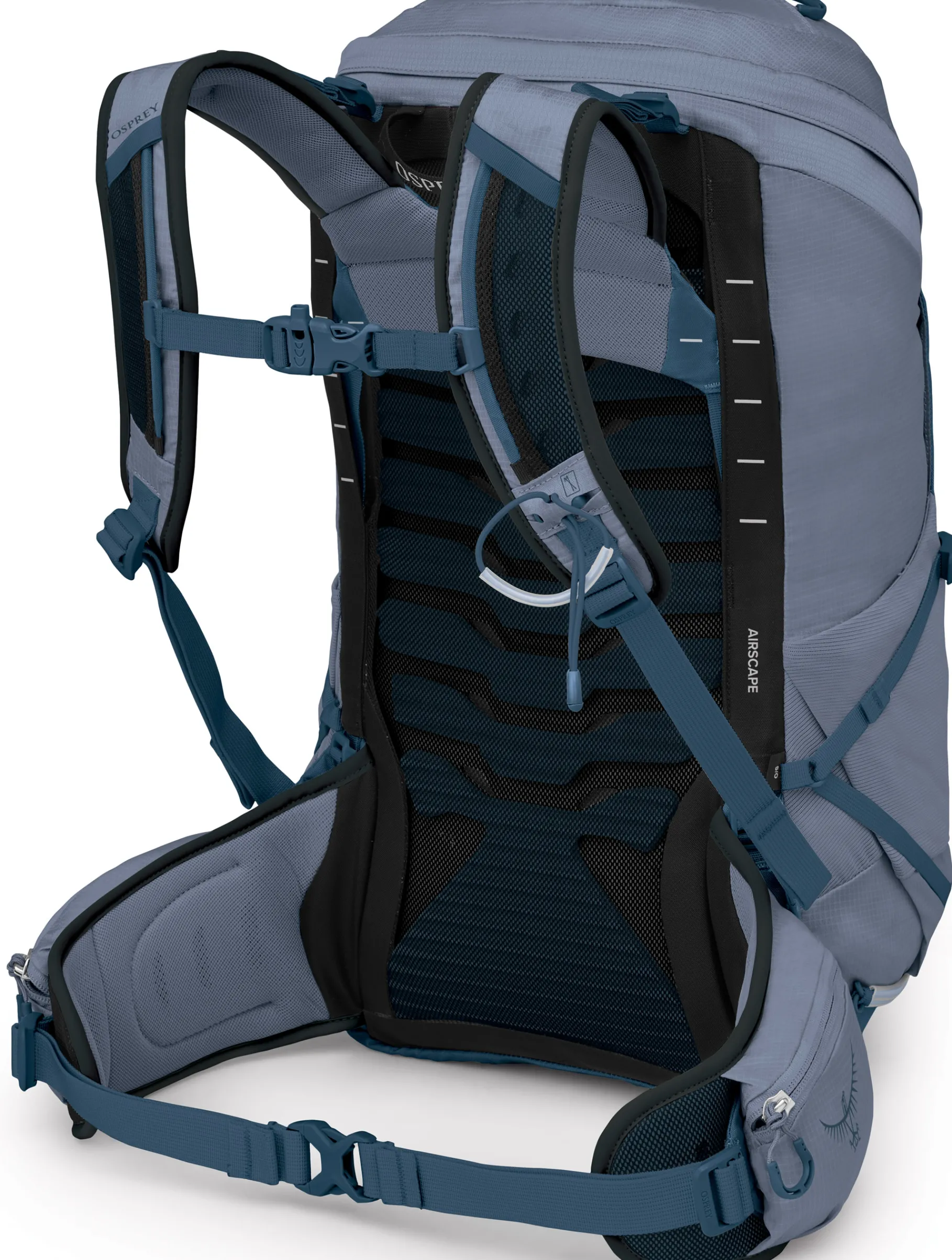 Tempest 26 Dame