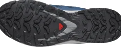 XA Pro 3D v9 Herre